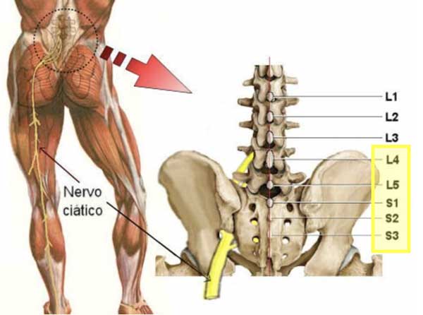 fisioterapia avançada
